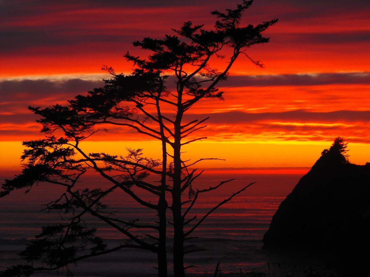Agate Beach Motel Ньюпорт Экстерьер фото